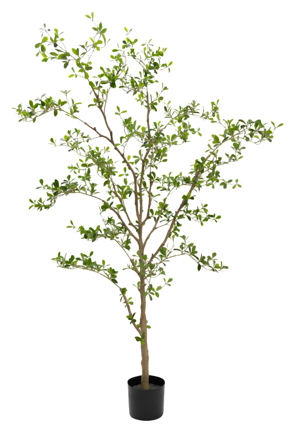 Shady Lady Künstlicher Olivenbaum 165cm