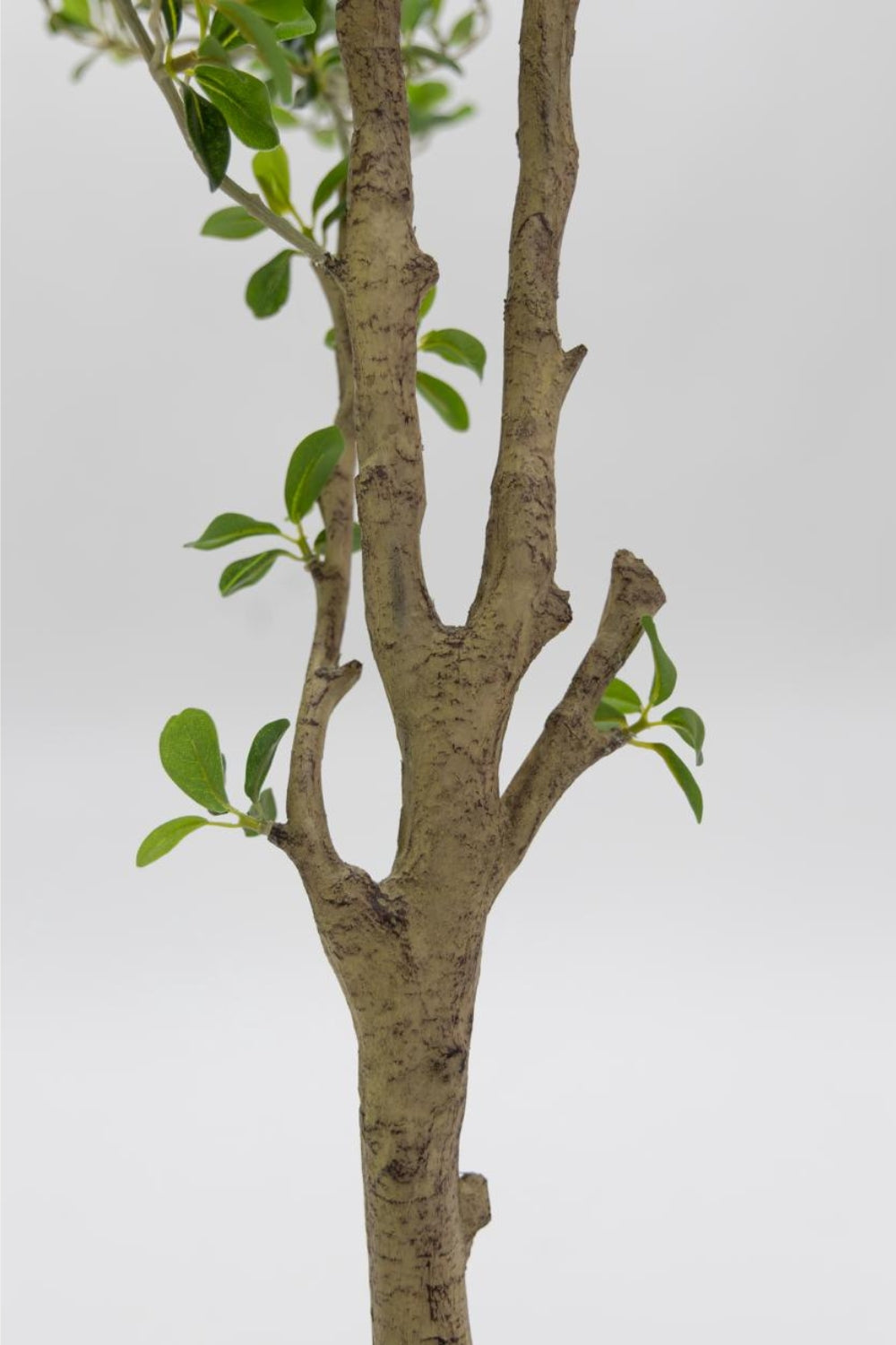 Shady Lady Künstlicher Olivenbaum 165cm