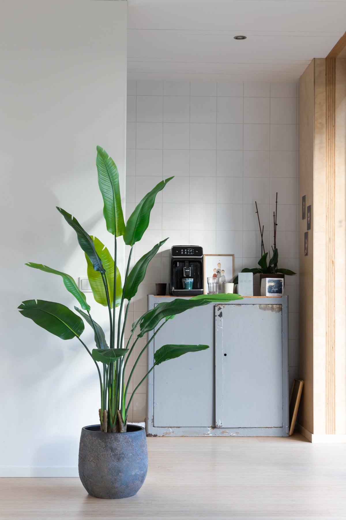 sfeerbeeld Strelitzia Kunstplant 2 160cm